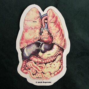 Supreme Anatomical Organs Sticker
